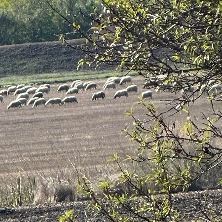 公寓 Sunny Day 5 Tŭnkovo