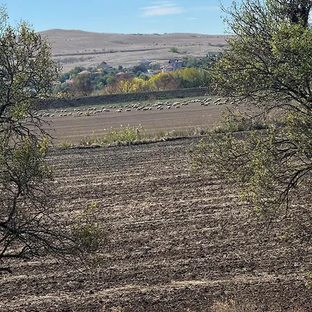 Sunny Day 5 * Tŭnkovo