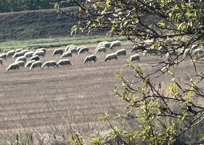 Apartamento Sunny Day 5 Tŭnkovo