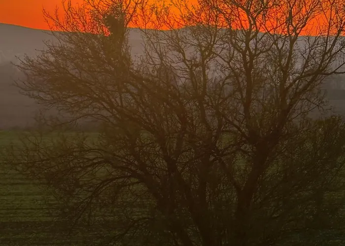 Apartamento Sunny Day 5